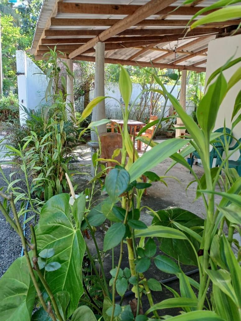 50* Stay Dikwella Exterior foto